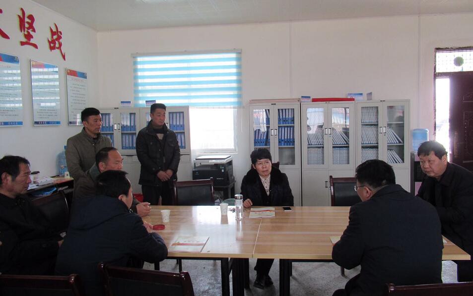 2月11日上午,市住建委主任孟丽华一行在泗县大庄镇党委书记赵光勇陪同